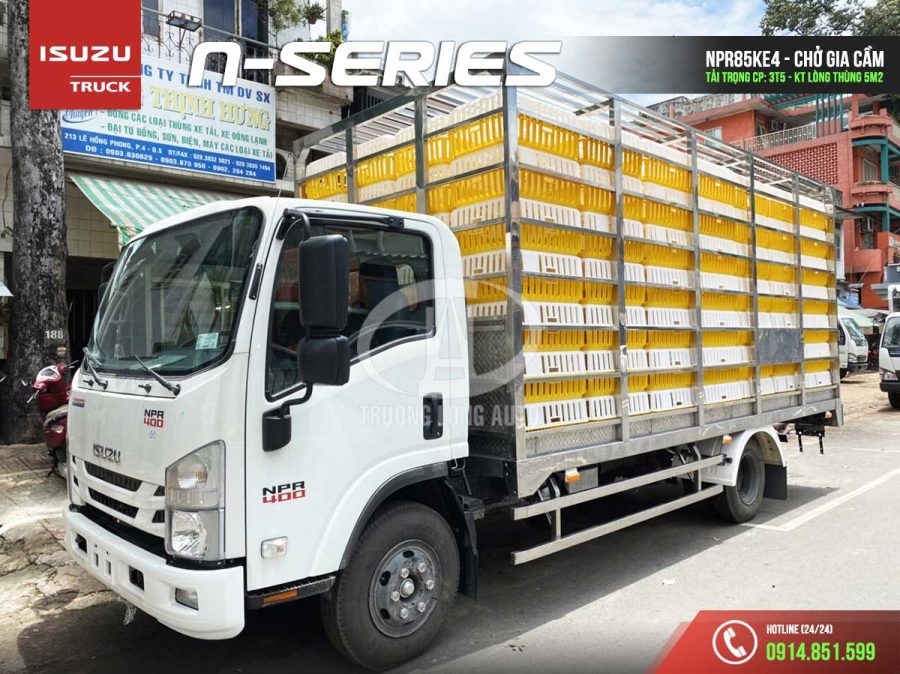 isuzu npr85ke4 3.5 tấn thùng chở gia cầm