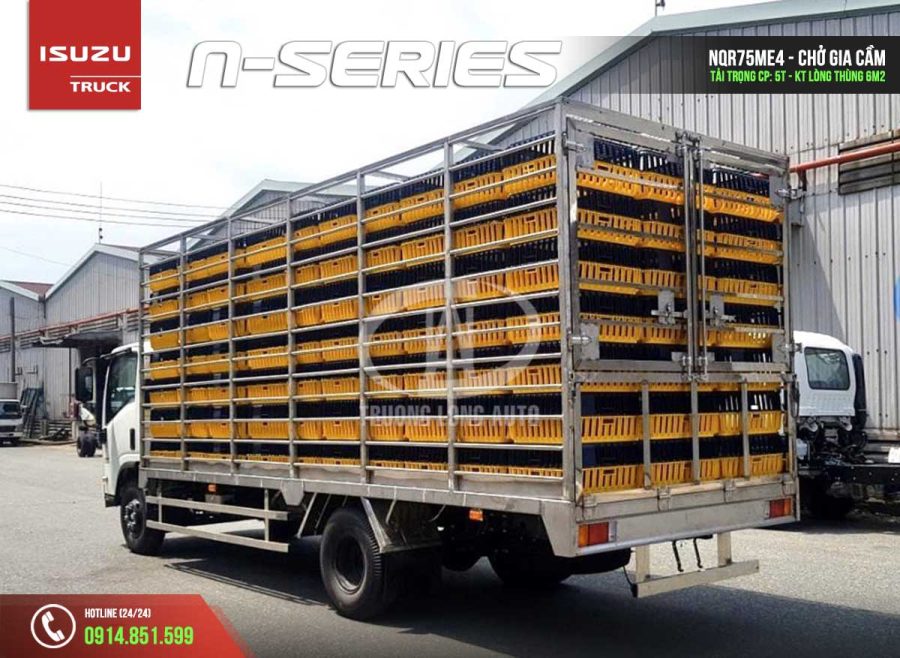 isuzu nqr75le4 5 tấn thùng chở gia cầm