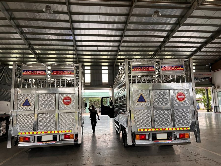 hyundai new mighty 110sp thùng chở heo