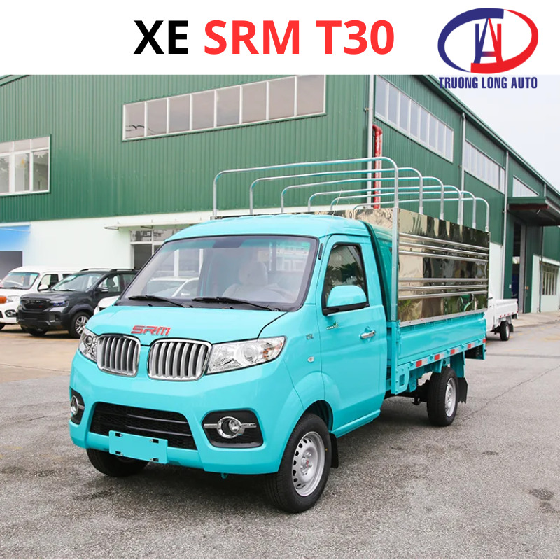 Xe Tải SRM T30